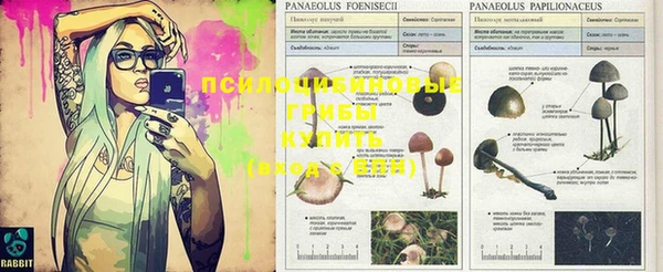 mdma Пересвет
