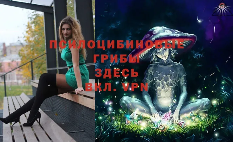 цена наркотик  Малаховка  mega tor  Галлюциногенные грибы Psilocybe 